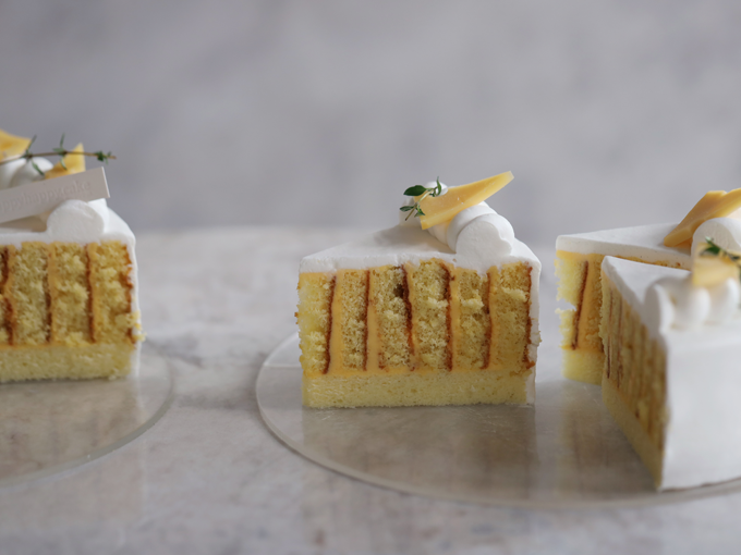커리큘럼을소개합니다_dailycake_s1_curri_05